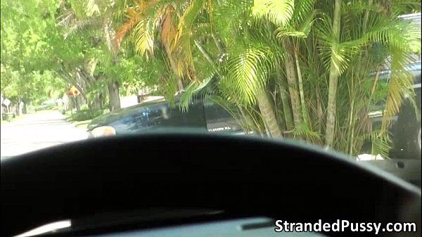 Stranded teen Tani gets banged in the car by the dudes huge cock - 2